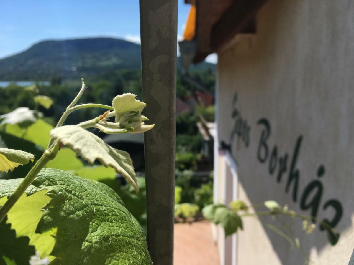 Hotel Sipos Borhaz Es Vendeghaz Badacsonyörs Exterior foto
